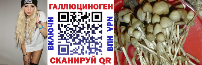 Галлюциногенные грибы Magic Shrooms Серафимович